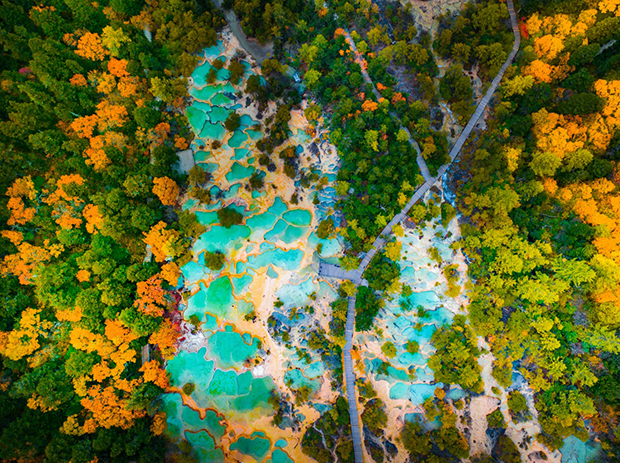 image001.jpg image001.jpg