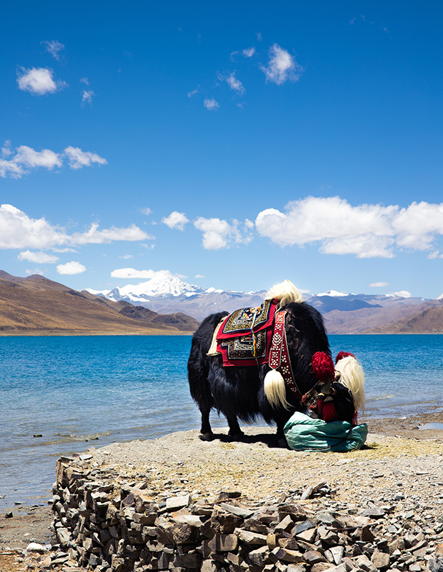 image009.jpg image009.jpg