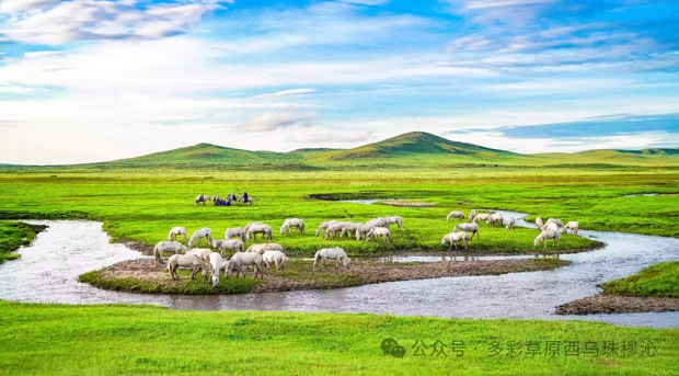 12791053672_0s.jpg 12791053672_0s.jpg