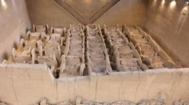 QQ��ͼ20240926171919 (2).jpg